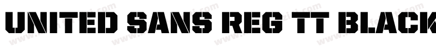 United Sans Reg TT Black字体转换